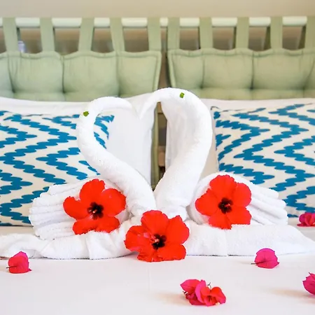 Sterna アパート *